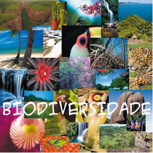 Brasil, o país que possui a maior biodiversidade do planeta
